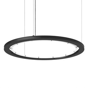 hanging light fixture 1