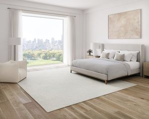 contemporary rug