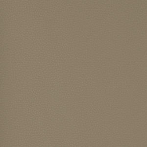coated fabric 1