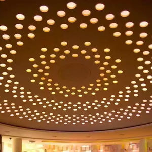 ceiling-mounted spotlight 1