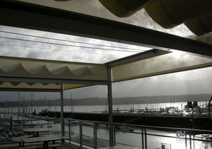 roller blinds