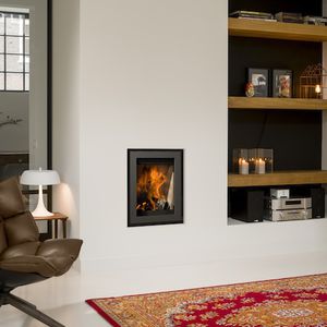 multi-fuel fireplace