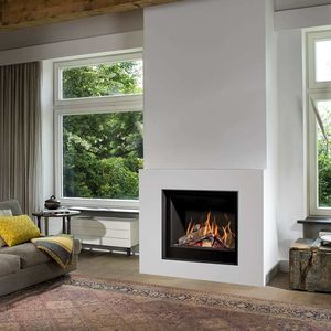 gas fireplace insert 1