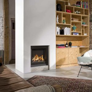 gas fireplace insert 1