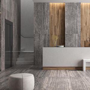 indoor tile / wall / floor / porcelain stoneware