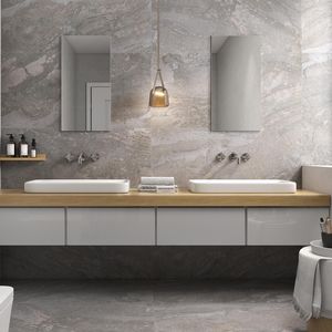 indoor tile / wall / floor / porcelain stoneware