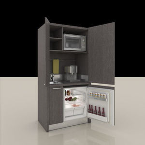 kitchenette with integrated appliances