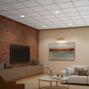 mineral fiber suspended ceiling