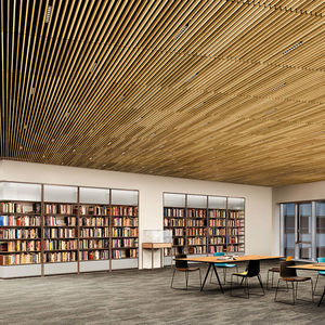 poplar suspended ceiling