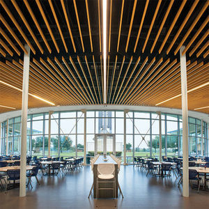 metal suspended ceiling