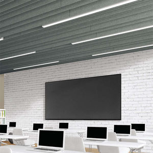 PET suspended ceiling