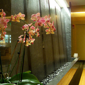 stainless steel water wall