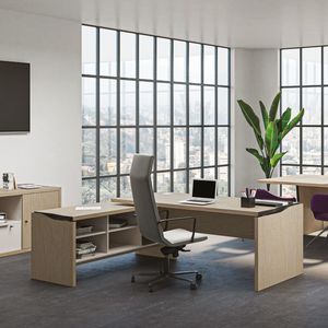 executive desk 1