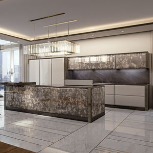 contemporary kitchen