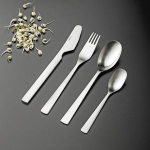 stainless steel cutlery