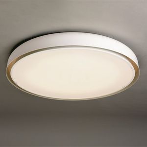 contemporary ceiling light
