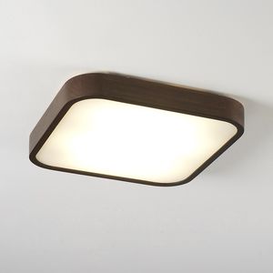 contemporary ceiling light