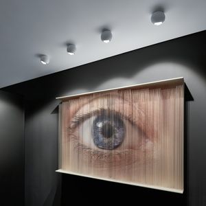 ceiling-mounted spotlight 1