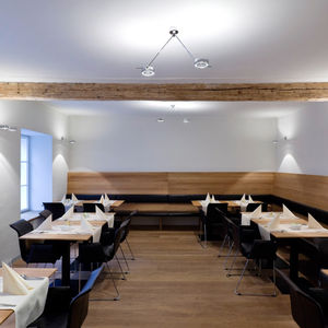 contemporary ceiling light 1