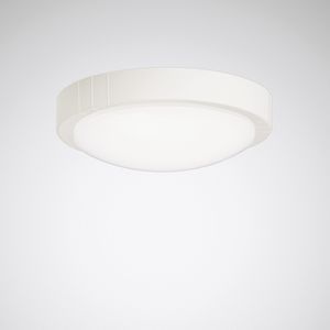 surface-mounted light fixture