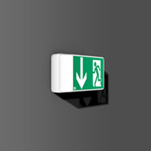 wall-mounted emergency light