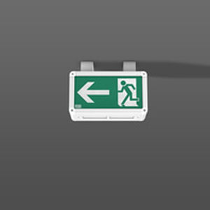 ceiling emergency light