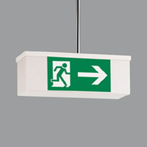 ceiling emergency light