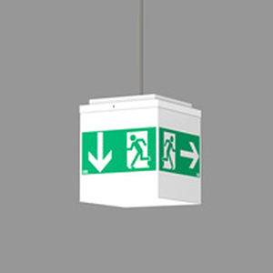 ceiling emergency light