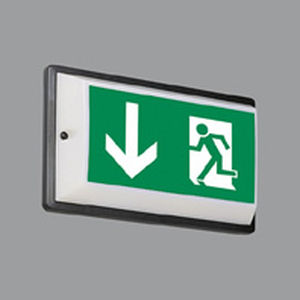 wall-mounted emergency light