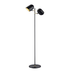 floor-standing lamp