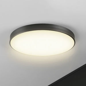 surface-mounted light fixture 1