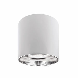 surface mounted downlight