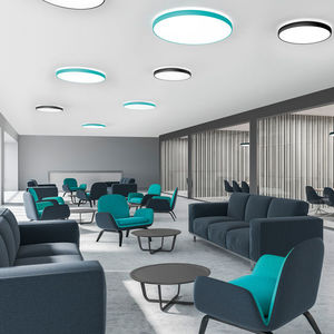 surface-mounted light fixture