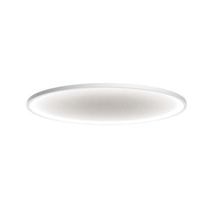 surface-mounted light fixture