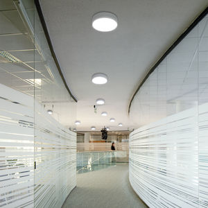 surface-mounted light fixture 1