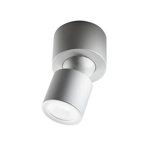 ceiling-mounted spotlight