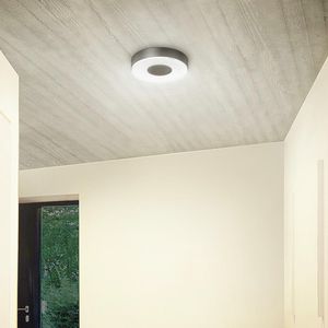 contemporary ceiling light