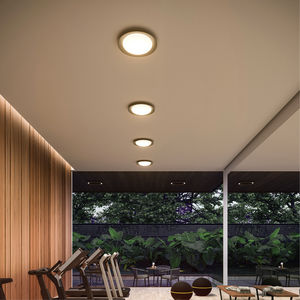 contemporary ceiling light