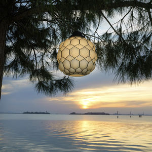 pendant lamp 1