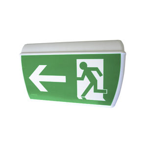 ceiling emergency light