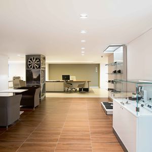 ceiling downlight