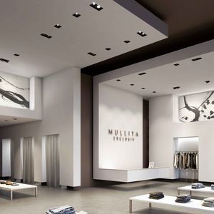 ceiling downlight 1