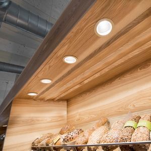 recessed downlight 1
