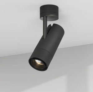 ceiling-mounted spotlight 1