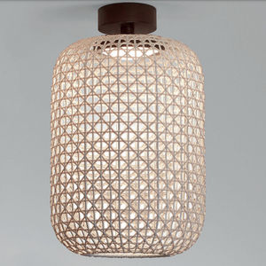 contemporary ceiling light