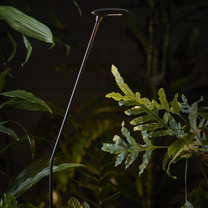 garden bollard light