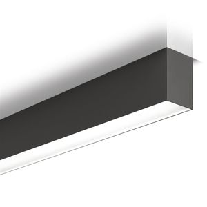 surface-mounted light fixture 1