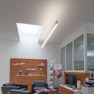 surface-mounted light fixture 1