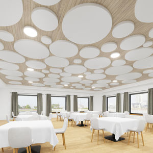 surface-mounted light fixture 1