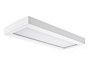 surface-mounted light fixture